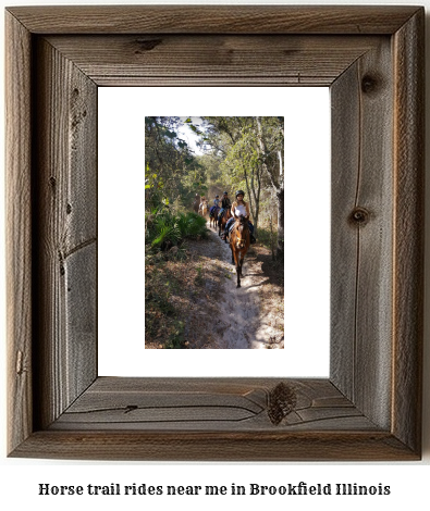 horse trail rides near me in Brookfield, Illinois